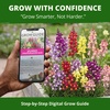 image:imageHOME GROWN Fairy amp Northern Lights Spurred Snapdragon Seeds for Planting 6000 Seeds Linaria maroccana