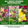 image:imageHOME GROWN Fairy amp Northern Lights Spurred Snapdragon Seeds for Planting 6000 Seeds Linaria maroccana