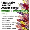 image:imageHOME GROWN Fairy amp Northern Lights Spurred Snapdragon Seeds for Planting 6000 Seeds Linaria maroccana
