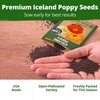 image:imageHOME GROWN Iceland Poppy Seeds for Planting 7000 Seeds 3500 Each 2 Pack Papaver nudicaule