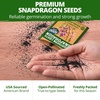 image:imageHOME GROWN Northern Lights Snapdragon Seeds for Planting 12000 Seeds 6000 Each 2 Pack Antirrhinum majus