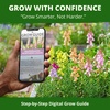 image:imageHOME GROWN Northern Lights Snapdragon Seeds for Planting 12000 Seeds 6000 Each 2 Pack Antirrhinum majus
