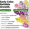 image:imageHOME GROWN Northern Lights Snapdragon Seeds for Planting 12000 Seeds 6000 Each 2 Pack Antirrhinum majus