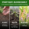 image:imageHOME GROWN Northern Lights Snapdragon Seeds for Planting 12000 Seeds 6000 Each 2 Pack Antirrhinum majus