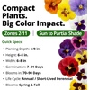 image:imageHOME GROWN Pansy Swiss Giant  3000 Flower Seeds for Planting Outdoors  Mixed Colors  Heirloom NonGMO Viola Seeds  CoolSeason Fall amp Spring Blooms  2026