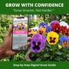 image:imageHOME GROWN Pansy Swiss Giant  3000 Flower Seeds for Planting Outdoors  Mixed Colors  Heirloom NonGMO Viola Seeds  CoolSeason Fall amp Spring Blooms  2026