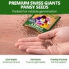 image:imageHOME GROWN Pansy Swiss Giant  3000 Flower Seeds for Planting Outdoors  Mixed Colors  Heirloom NonGMO Viola Seeds  CoolSeason Fall amp Spring Blooms  2026