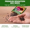 image:imageHOME GROWN Sensation Dwarf Mix Cosmos Seeds for Planting 600 Seeds Cosmos bipinnatus