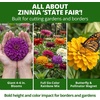 image:imageHOME GROWN State Fair Zinnia Seeds for Planting 300 Seeds Zinnia elegans