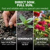 image:imageHOME GROWN State Fair Zinnia Seeds for Planting 300 Seeds Zinnia elegans