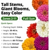 image:imageHOME GROWN State Fair Zinnia Seeds for Planting 300 Seeds Zinnia elegans
