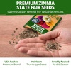 image:imageHOME GROWN State Fair Zinnia Seeds for Planting 600 Seeds 300 Each 2 Pack Zinnia elegans