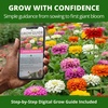 image:imageHOME GROWN State Fair Zinnia Seeds for Planting 600 Seeds 300 Each 2 Pack Zinnia elegans
