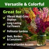image:imageHOME GROWN Tetra Snapdragon Seeds for Planting 4000 Seeds 2000 Each 2 Pack Antirrhinum majus