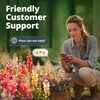 image:imageHOME GROWN Tetra Snapdragon Seeds for Planting 4000 Seeds 2000 Each 2 Pack Antirrhinum majus