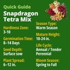 image:imageHOME GROWN Tetra Snapdragon Seeds for Planting 4000 Seeds 2000 Each 2 Pack Antirrhinum majus
