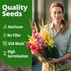 image:imageHOME GROWN Tetra Snapdragon Seeds for Planting 4000 Seeds 2000 Each 2 Pack Antirrhinum majus