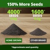 image:imageHOME GROWN Tetra Snapdragon Seeds for Planting 4000 Seeds 2000 Each 2 Pack Antirrhinum majus