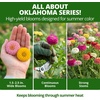 image:imageHOME GROWN Zinnia Oklahoma Zinnia elegans Seeds 100 Seeds Heirloom NonGMO