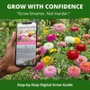 image:imageHOME GROWN Zinnia Oklahoma Zinnia elegans Seeds 100 Seeds Heirloom NonGMO