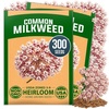 image:imageHOME GROWN Common Milkweed Seeds for Planting 150 Seeds 2 Pack Asclepias syriaca