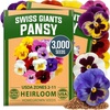 image:imageHOME GROWN Pansy Swiss Giant  3000 Flower Seeds for Planting Outdoors  Mixed Colors  Heirloom NonGMO Viola Seeds  CoolSeason Fall amp Spring Blooms  2026