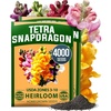 image:imageHOME GROWN Tetra Snapdragon Seeds for Planting 4000 Seeds 2000 Each 2 Pack Antirrhinum majus