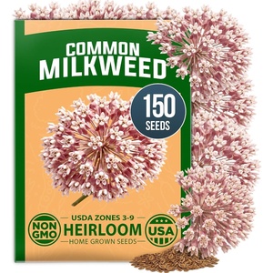 image:imageHOME GROWN Common Milkweed Flower Seeds for Planting  150 Seeds 08g Fragrant Pink Blooms Heirloom NonGMO Monarch Butterfly Host Plant Native Perennial Wildflower Zones 39