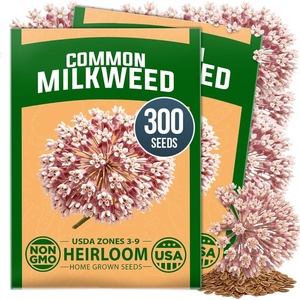 image:imageHOME GROWN Common Milkweed Seeds for Planting 150 Seeds 2 Pack Asclepias syriaca