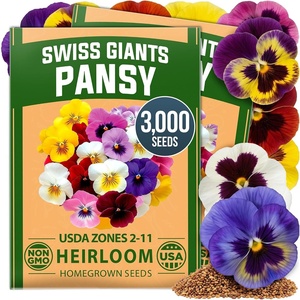 image:imageHOME GROWN Pansy Swiss Giant  3000 Flower Seeds for Planting Outdoors  Mixed Colors  Heirloom NonGMO Viola Seeds  CoolSeason Fall amp Spring Blooms  2026