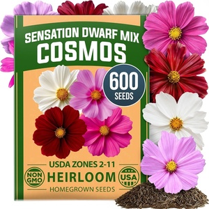 image:imageHOME GROWN Sensation Dwarf Mix Cosmos Seeds for Planting 600 Seeds Cosmos bipinnatus
