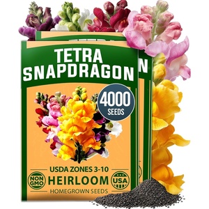 image:imageHOME GROWN Tetra Snapdragon Seeds for Planting 4000 Seeds 2000 Each 2 Pack Antirrhinum majus