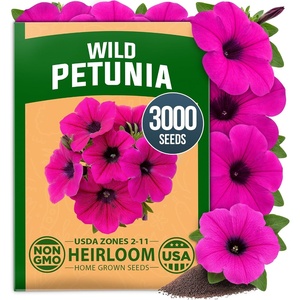 image:imageHOME GROWN Wild Petunia Seeds for Planting 3000 Seeds Petunia violacea  For Hanging Baskets Drought Tolerant USDA Zones 210