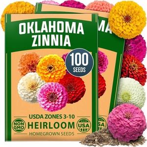image:imageHOME GROWN Zinnia Oklahoma Zinnia elegans Seeds 100 Seeds Heirloom NonGMO