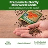 image:imageHOME GROWN Butterfly Milkweed Seeds for Planting 2 PackAsclepias tuberosa  216 Seeds 108 Each 2 Pack 450mg  Zones 311 Full Sun  Monarch Host Plant  NonGMO Heirloom  Perennial Native