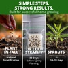 image:imageHOME GROWN Butterfly Milkweed Seeds for Planting 2 PackAsclepias tuberosa  216 Seeds 108 Each 2 Pack 450mg  Zones 311 Full Sun  Monarch Host Plant  NonGMO Heirloom  Perennial Native