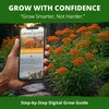 image:imageHOME GROWN Butterfly Milkweed Seeds for Planting 2 PackAsclepias tuberosa  216 Seeds 108 Each 2 Pack 450mg  Zones 311 Full Sun  Monarch Host Plant  NonGMO Heirloom  Perennial Native