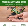 image:imageHOME GROWN Fairy Snapdragon Seeds 14000 Seeds Linaria maroccana  14000 Seeds 7000 Each 2 Pack  Zones 210  Pollinator Friendly  NonGMO Heirloom  Annual