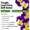 image:imageHOME GROWN Johnny Jump Up Helen Mount Seeds 6000 Seeds Viola Tricolor  6000 Seeds  Zones 39  Pollinator Friendly  NonGMO Heirloom  AnnualBiennial
