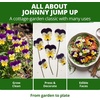 image:imageHOME GROWN Johnny Jump Up Helen Mount Viola Seeds 1500 Viola Tricolor  1500 Tricolor Seeds  Zones 39  Pollinator Friendly  NonGMO Heirloom  AnnualBiennial