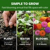 image:imageHOME GROWN Lilliput Dwarf Zinnia Seeds 1200 Seeds Zinnia elegans  1200 Seeds 600 Each 2 Pack  Zones 310  Pollinator Friendly  NonGMO Heirloom  Annual