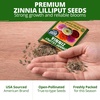 image:imageHOME GROWN Lilliput Dwarf Zinnia Seeds 1200 Seeds Zinnia elegans  1200 Seeds 600 Each 2 Pack  Zones 310  Pollinator Friendly  NonGMO Heirloom  Annual