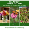 image:imageHOME GROWN Lilliput Dwarf Zinnia Seeds 1200 Seeds Zinnia elegans  1200 Seeds 600 Each 2 Pack  Zones 310  Pollinator Friendly  NonGMO Heirloom  Annual
