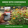 image:imageHOME GROWN Lilliput Dwarf Zinnia Seeds 1200 Seeds Zinnia elegans  1200 Seeds 600 Each 2 Pack  Zones 310  Pollinator Friendly  NonGMO Heirloom  Annual