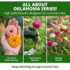 image:imageHOME GROWN Oklahoma Zinnia Seeds 300 Seeds Zinnia elegans  300 Seeds  Zones 211  Full Sun  Cut Flower Favorite  NonGMO Heirloom  Annual