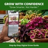 image:imageHOME GROWN Rainbow Mix Coleus Seeds Plectranthus scutellarioides  800 Seeds 400 Each 2 Pack  Partial to Full Shade  Colorful Foliage  NonGMO Heirloom  Annual