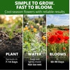 image:imageHOME GROWN Red Chief California Poppy Seeds 2500 Eschscholzia californica  2500 Seeds  Zones 210  Full Sun  Drought Tolerant  NonGMO Heirloom  Annual Wildflower