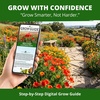 image:imageHOME GROWN Red Chief California Poppy Seeds 2500 Eschscholzia californica  2500 Seeds  Zones 210  Full Sun  Drought Tolerant  NonGMO Heirloom  Annual Wildflower