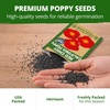 image:imageHOME GROWN Red Chief California Poppy Seeds 2500 Eschscholzia californica  2500 Seeds  Zones 210  Full Sun  Drought Tolerant  NonGMO Heirloom  Annual Wildflower