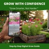 image:imageHOME GROWN Sea Shells Cosmos Seeds 600 Seeds Cosmos bipinnatus  600 Seeds  Zones 211  Pollinator Friendly  NonGMO Heirloom  Annual